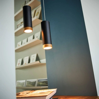Domus Závěsné svítidlo LED PHEB, černá/dubová barva