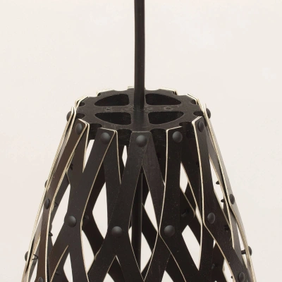 david trubridge david trubridge Hinaki závěsná lampa 50 cm černá