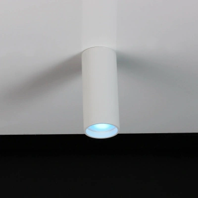 LUTEC LED stropní bodové světlo Stag, CCT a RGBW, bílá