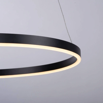 JUST LIGHT. Závěsné svítidlo Ritus LED, Ø 58,5 cm, antracitová barva